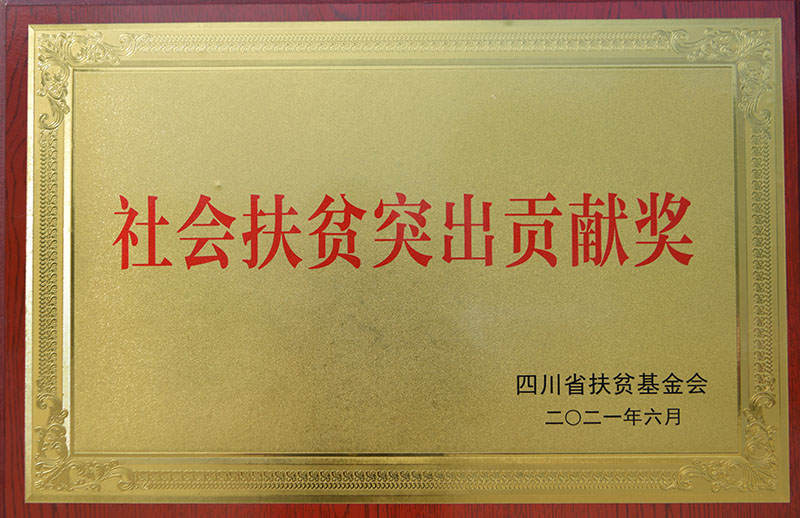 社会扶贫突出贡献奖