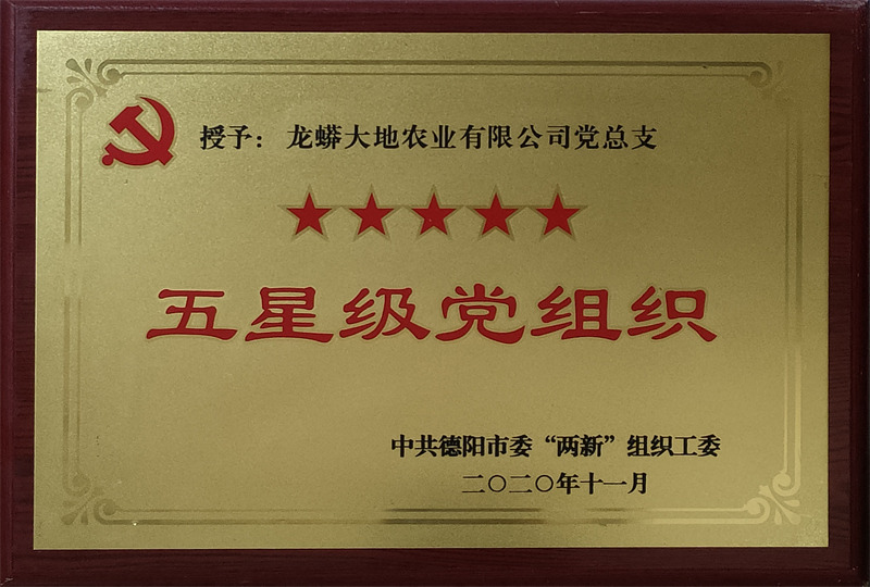 2020年五星党组织